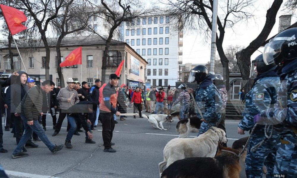 МВД: организаторы и участники митинга должны возместить ущерб пострадавшим горожанам