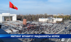 Митингдеги терс аракеттер өлкөнүн кадыр баркына да кедергисин тийгизүүдө