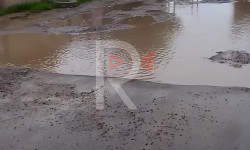 Касым конушунун жолдору качан оңдолот?