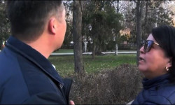 ИИМ: митинг учурунда коомдук тартипти бузган аял кармалды 