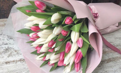 Айымдар жактырган гүлдөрдүн рейтинги аныкталды