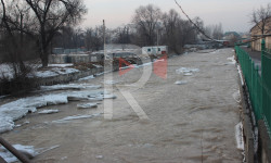 Ала-Арча суусуна саркынды суулар кошулуудабы?