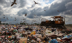 Байтик: талааны таштанды таштоочу жайга айландыргандар ким?