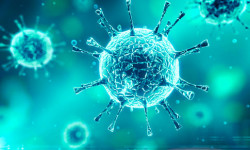 Түркмөнстанда коронавирус жуктуруп алган эки адам катталды