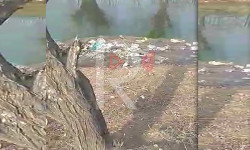 Шамалды-Сай шаарчасындагы канал таштандыга толуп кетти