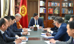 Өкмөт массалык иш-чараларды өткөрүүгө убактылуу чектөө киргизди