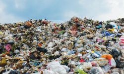 Покровка айыл аймагындагы таштанды таштоочу жайга айланган талаа