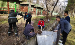 Ишембилик - жаздагы жаңыруунун белгиси