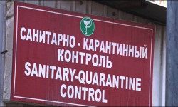 Коронавирустун алдын алуу. Чек ара тилкелеринде текшерүү иштери күчөтүлөт