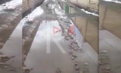 Бишкек: тар көчөдөгү көлчүк жол