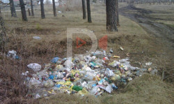 Бишкек: таштанды урналары орнотулса...