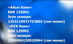 Коронавирустун жайылышына жол бербөө иштерин каржылоого эсептер ачылды 