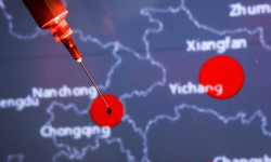 Өлкөдө коронавируска чалдыккандардын саны 12 адамга жетти