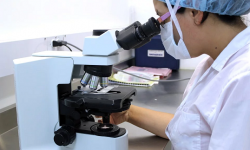 Баткен облусунда коронавирусту жуктурган алгачкы учур катталды