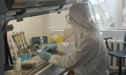 Кыргызстанда коронавируска чалдыккан жаӊы учурлар катталган жок 