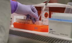 Коронавирус: соңку абал