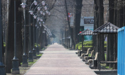 Борбор калаада абал туруктуу