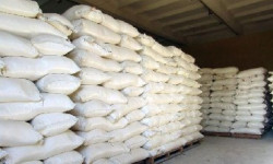 Азык-түлүк жаатында көрүлүп жаткан камкордук кандай жүрүп жатат?