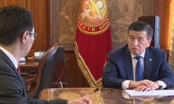 Өлкөдө жаралган кырдаалда санарип саясаты кандай ишке ашууда?