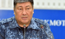 ИИМ: Өлкө боюнча 78 адам тартип бузган