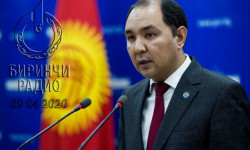 ТИМ: чет жактагы мекендештер үчүн авиакаттамдарды уюштуруу мүмкүн эмес