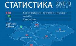 COVID-19: жаңы жуктурган 11 учур катталды (14.04.20)