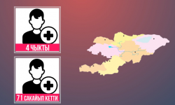 COVID-19: Өлкө боюнча 71 бейтап айыгып чыкты 