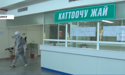 Ош: коронавирустан 24 жаран айыкты 