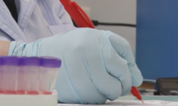 COVID-19 менен ооруган кош бойлуу келин айыгып чыкты