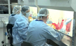 Кыргызстанда COVID-19 вирусун жуктуруунун жалпы 729 учуру катталды