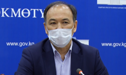 COVID-19: 29-апрелге карата, учурдагы кырдаал 