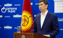 Бишкекте шаарында коронавируска чалдыккан 183 адам бар