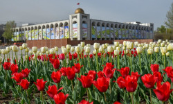 Президент кыргызстандыктарды 1-Май - Эмгек майрамы менен куттуктады