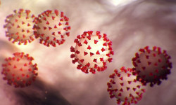 Кыргызстанда СOVID-19 инфекциясынын жаңы 35 учур катталды