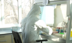 Дагы 13 адам коронавирус жуктуруп алды (5.05.20)