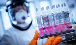 СOVID-19 инфекциясынын жаңы 24 учур катталды