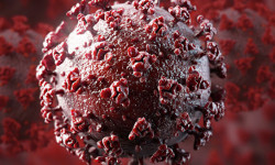 Өлкө боюнча 2 медициналык кызматкер коронавирус жуктуруп алды