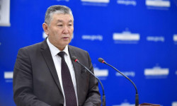 Коронавирус: ооругандардын негизги бөлүгү 20 жаштан 60 жашка чейинки курактагылар