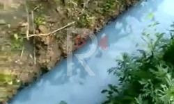 Талас: сайдагы сууну буулгаган сүт заводу