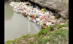 Нарын шаарындагы каналда калкыган таштандылар