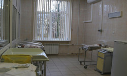 Үй карантининин эрежелерин бузган жаран обсервацияга алынды