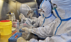 Коронавирус: 25-майда эпидемиологиялык абалга байланыштуу чечим чыгарылат