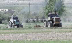 Ат-Башыда биринчи жолу жасмык эгилүүдө 