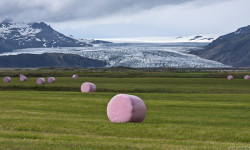 Исландия өлкөсү туристтер үчүн эшигин ачты