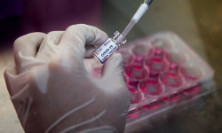 12 медициналык кызматкер коронавирус жуктуруп алганы аныкталды