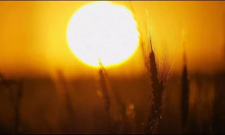 Дүйнөлүк метеорологиялык уюм быйыл жай өзгөчө ысык болоорун эскертүүдө 