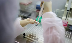 Казакстанда бир район толугу менен карантинге жабылды