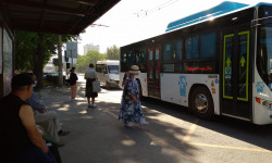 Бишкекте коронавирус жуктуруу тобокелчилиги жогорулоодо   