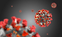 Коронавирус: 22 бейтап ооруканадан чыгарылды - Кыргызстан жаңылыктары