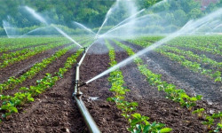 Элди таза суу менен камсыз кылуу долбоорлорун ишке ашыруу улантылууда - Кыргызстан жаңылыктары